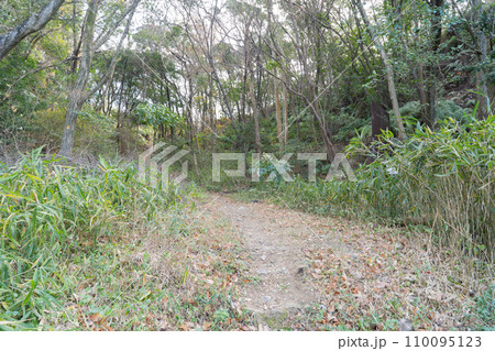 みさき公園駅付近にある泉南飯盛山の登山口（紀泉アルプス） 110095123