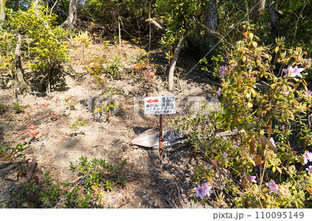 高野山の登山口（紀泉アルプス） 110095149