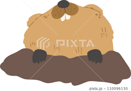 Cute Groundhog illustration 110096130