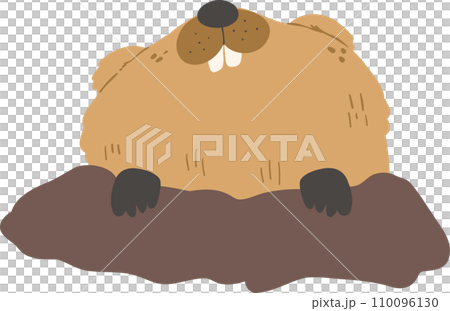 Cute Groundhog illustration Cute Groundhog illustration 110096130