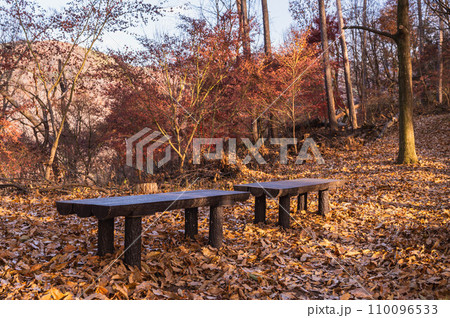 冬の里山の遊歩道からの風景　弘法山 110096533