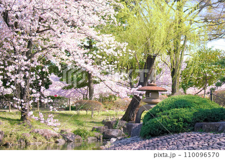 [愛知県]名古屋市昭和区の鶴舞公園 110096570