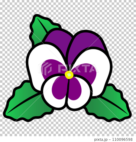 Pansy illustration 110096598