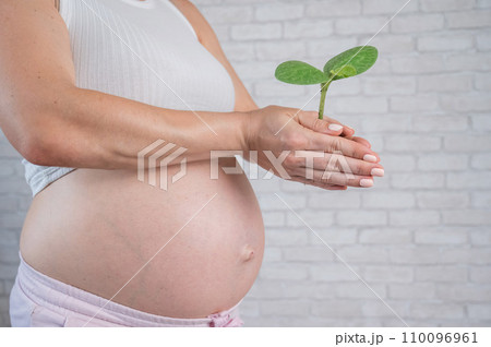 A pregnant woman is holding a sprout. Cropped tummy. A pregnant woman is holding a sprout. Cropped tummy. 110096961