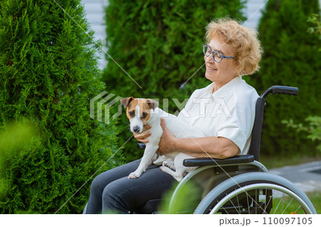 Elderly caucasian woman hugging a jack russell terrier dog while sitting in a wheelchair on a walk outdoors. Elderly caucasian woman hugging a jack russell terrier dog while sitting in a wheelchair on a walk outdoors. 110097105