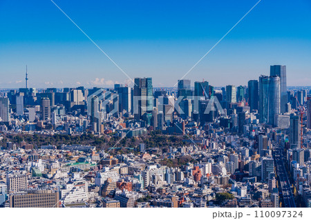 （東京都）東京スカイツリーのある東京都市風景　 110097324