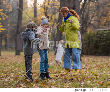 Caucasian children and red-haired woman play with dog jack russell terrier in autumn park. Caucasian children and red-haired woman play with dog jack russell terrier in autumn park. 110097366