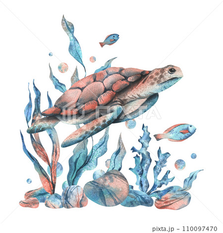 Underwater world clipart with sea animals turtle, fish, pebbles, bubbles, coral and algae. Hand drawn watercolor illustration. Isolated composition on a white background. Underwater world clipart with sea animals turtle, fish, pebbles, bubbles, coral and algae. Hand drawn watercolor illustration. Isolated composition on a white background. 110097470