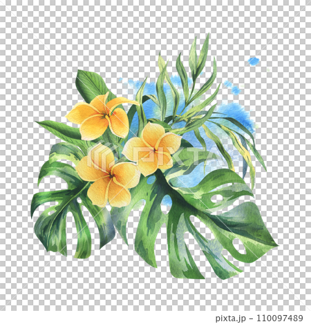 Tropical palm leaves, monstera and yellow flowers of plumeria, frangipani, bright juicy. Hand drawn watercolor botanical illustration. Isolated composition on a white background. Tropical palm leaves, monstera and yellow flowers of plumeria, frangipani, bright juicy. Hand drawn watercolor botanical illustration. Isolated composition on a white background. 110097489