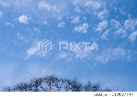 高積雲のレア雲の搭状雲 早春のホイップクリームのような搭状雲 高積雲のレア雲の搭状雲 早春のホイップクリームのような搭状雲 110097747