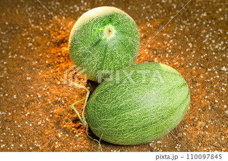 Cantaloupe on the field 110097845