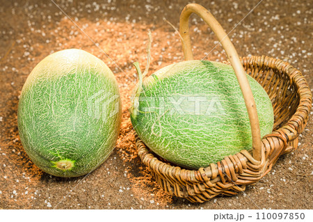 Cantaloupe on the field 110097850