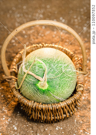 Cantaloupe on the field 110097852