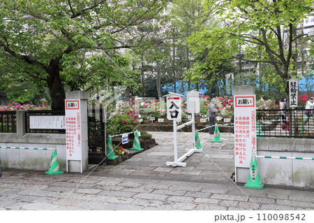 西新井大師・總持寺のボタン園(東京都足立区) 西新井大師・總持寺のボタン園(東京都足立区) 110098542