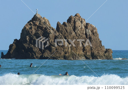 伊良湖弥八島とサーフィン 伊良湖弥八島とサーフィン 110099525