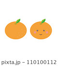 かわいいミカンのイラスト 110100112