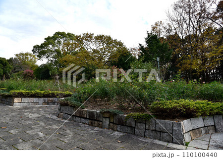 富士　広見公園 110100440