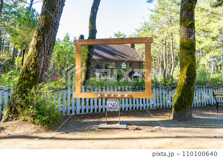 英国式庭園の風景（宮崎市） 110100640