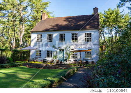 英国式庭園の風景（宮崎市） 110100642