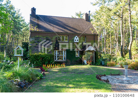 英国式庭園の風景（宮崎市） 110100648