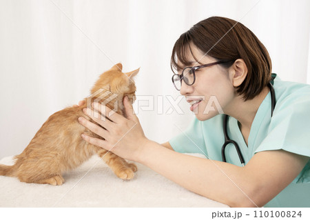 仔猫の診察をする女性獣医師 仔猫の診察をする女性獣医師 110100824