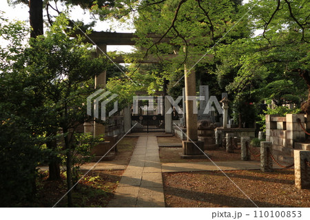 文京区　護国寺 110100853