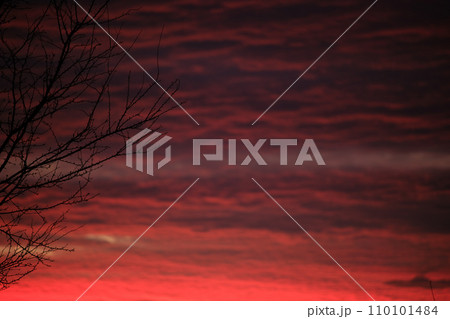Bright colorful sunset sky with vivid smooth clouds illuminated with setting sun light spreading to horizon 110101484