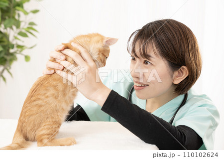 仔猫の診察をする女性獣医師 110102624