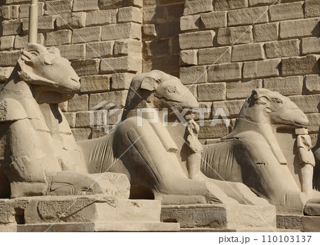Ancient Ram Statues of Karnak 110103137