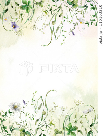 Watercolor card of meadow grasses and herb. Hand painted floral illustration isolated on white background. For design, print, fabric or background. 110103210