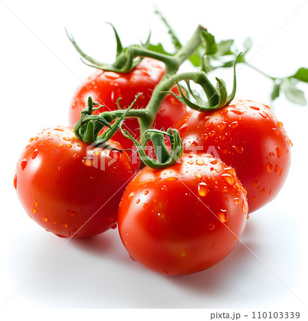 tomatoes on a white background 110103339