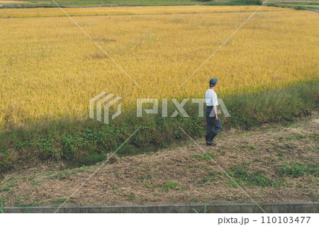 rice farming 110103477
