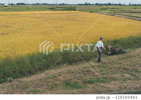 rice farming 110103481