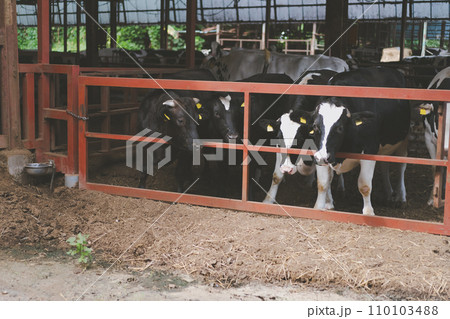 ranch 110103488