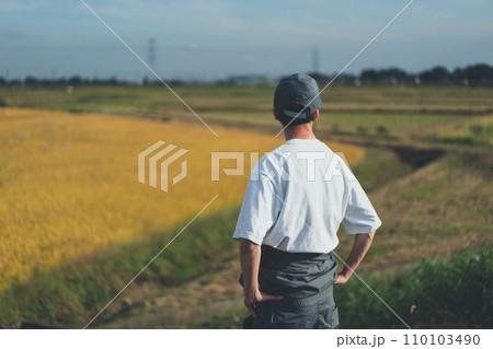 rice farming rice farming 110103490