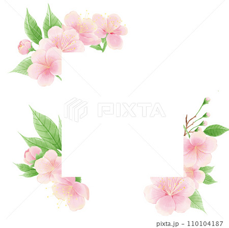 Watercolor hand drawn illustration of Cherry Blossom sakura frames wreaths border spring time pink blooming flowers 110104187