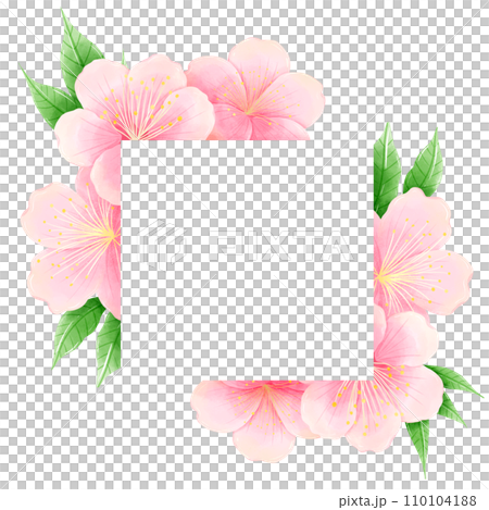 Watercolor hand drawn illustration of Cherry Blossom sakura frames wreaths border spring time pink blooming flowers 110104188