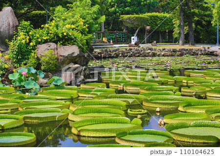 植物 工場 プランツ 110104625