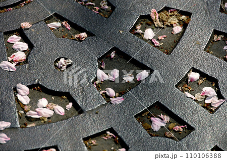 桜の花びらが散り落ちた鉄格子で舗装された歩道 110106388