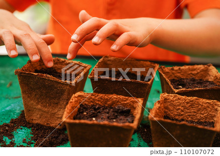 Close-up child's hands planting seeds. Nature and Education. Practical Life Skills. Child Engagement with Gardening Close-up child's hands planting seeds. Nature and Education. Practical Life Skills. Child Engagement with Gardening 110107072