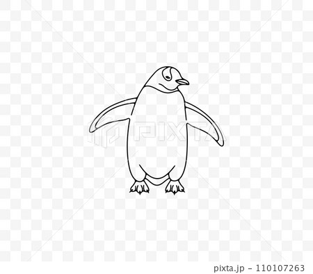 Subantarctic penguin or gentoo penguins, graphic design. Animal, bird, avian, feathered, antarctica and nature, vector design and illustration Subantarctic penguin or gentoo penguins, graphic design. Animal, bird, avian, feathered, antarctica and nature, vector design and illustration 110107263