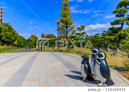 東京　品川区　しながわ区民公園 110108435