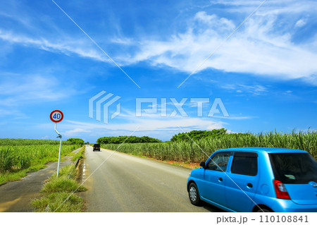 沖縄 さとうきび畑が広がる一本道をドライブ 沖縄 さとうきび畑が広がる一本道をドライブ 110108841