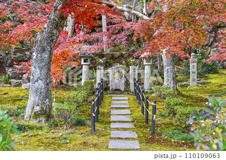 瓦屋禅寺（東近江市） 110109063