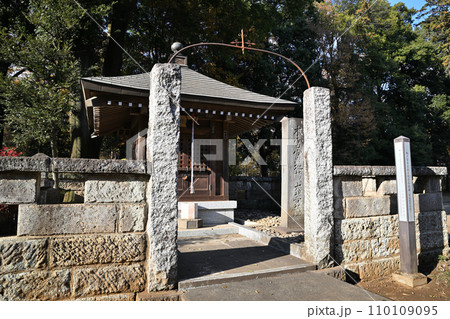 木ノ宮地蔵奥之院 石地蔵 多福寺境内 三芳町 木ノ宮地蔵奥之院 石地蔵 多福寺境内 三芳町 110109095