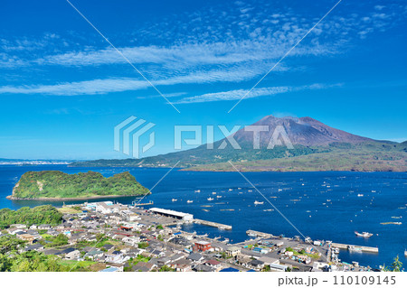 【協和展望所より桜島】 鹿児島県垂水市海潟 【協和展望所より桜島】 鹿児島県垂水市海潟 110109145
