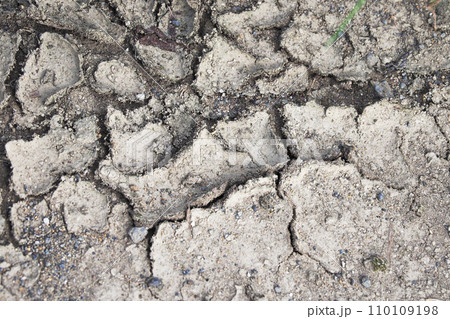 水不足 渇水 干ばつ water shortage water deficit 水不足 渇水 干ばつ water shortage water deficit 110109198