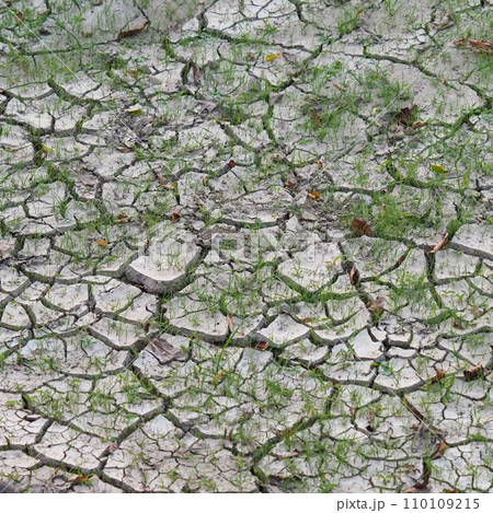 水不足　渇水　干ばつ　water shortage  water deficit 110109215