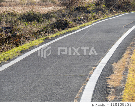 桂川サイクリングロード(京奈和自転車道)。京都府道801号京都八幡木津自転車道線。(京都市内) 桂川サイクリングロード(京奈和自転車道)。京都府道801号京都八幡木津自転車道線。(京都市内) 110109255