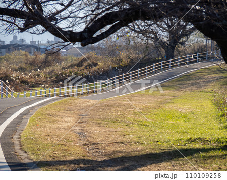 桂川サイクリングロード(京奈和自転車道)。京都府道801号京都八幡木津自転車道線。(京都市内) 桂川サイクリングロード(京奈和自転車道)。京都府道801号京都八幡木津自転車道線。(京都市内) 110109258